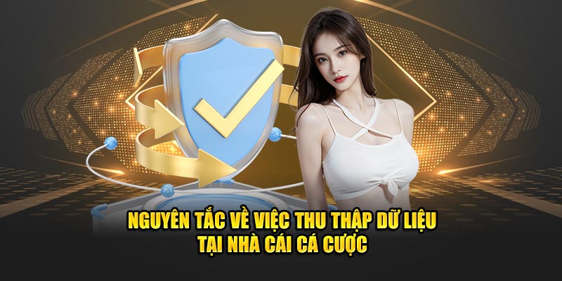 Nguyên tắc về việc thu thập dữ liệu tại nhà cái cá cược