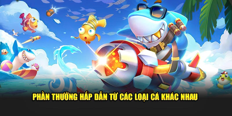 Phần thưởng hấp dẫn từ các loại khác nhau  